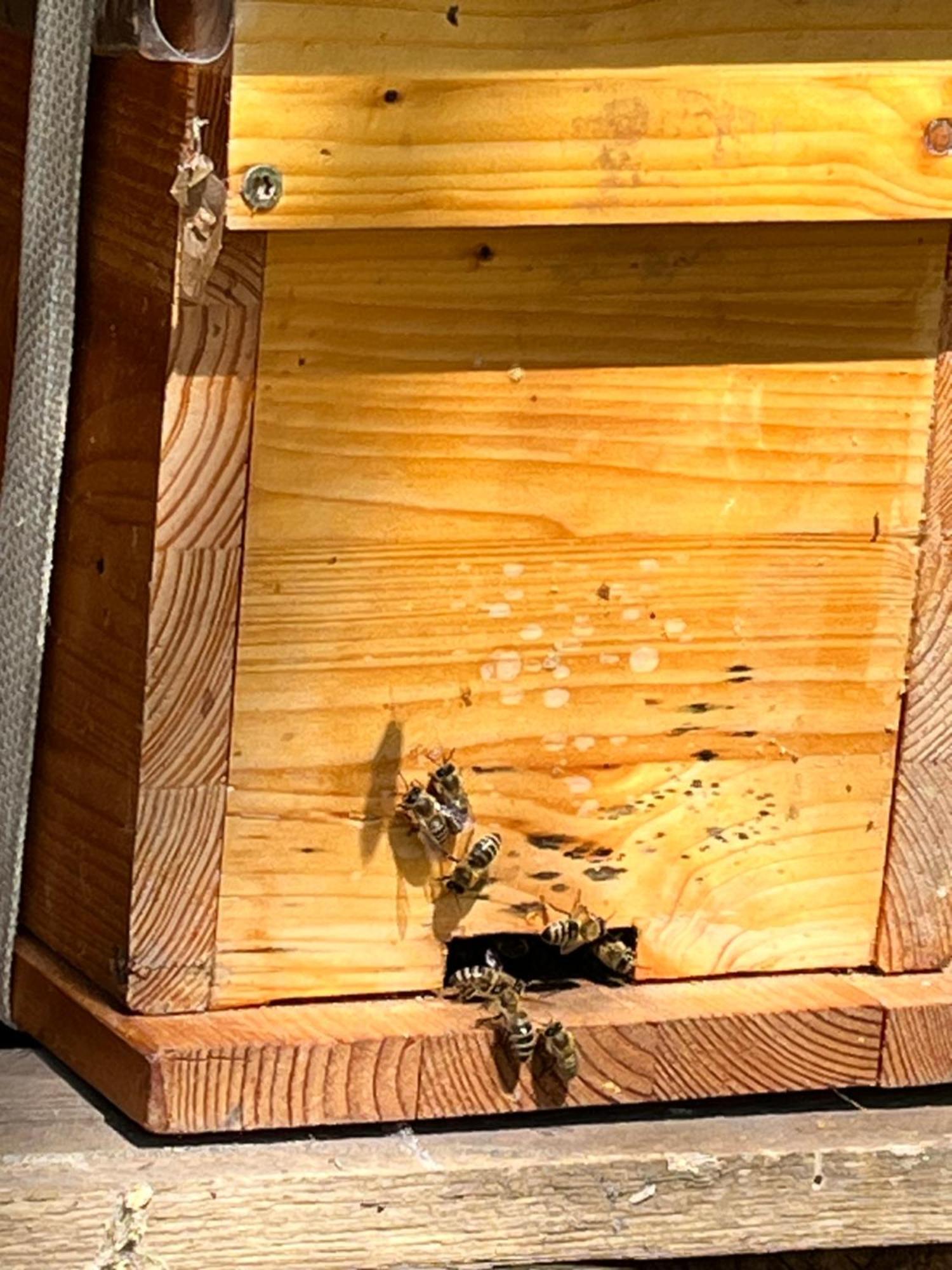 Hotel Wald Ist Zukunft Bernbeuren Zewnętrze zdjęcie