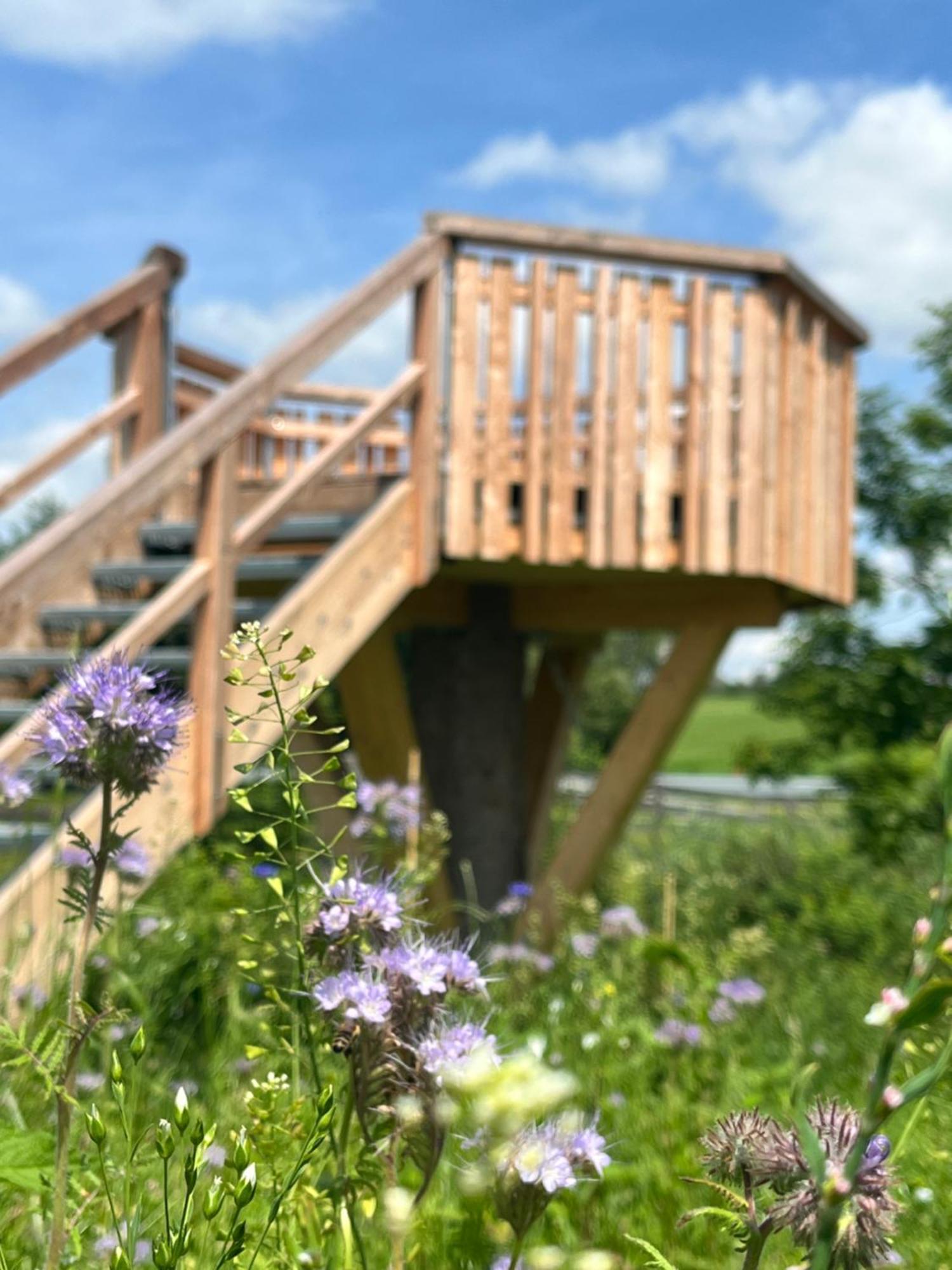 Hotel Wald Ist Zukunft Bernbeuren Zewnętrze zdjęcie