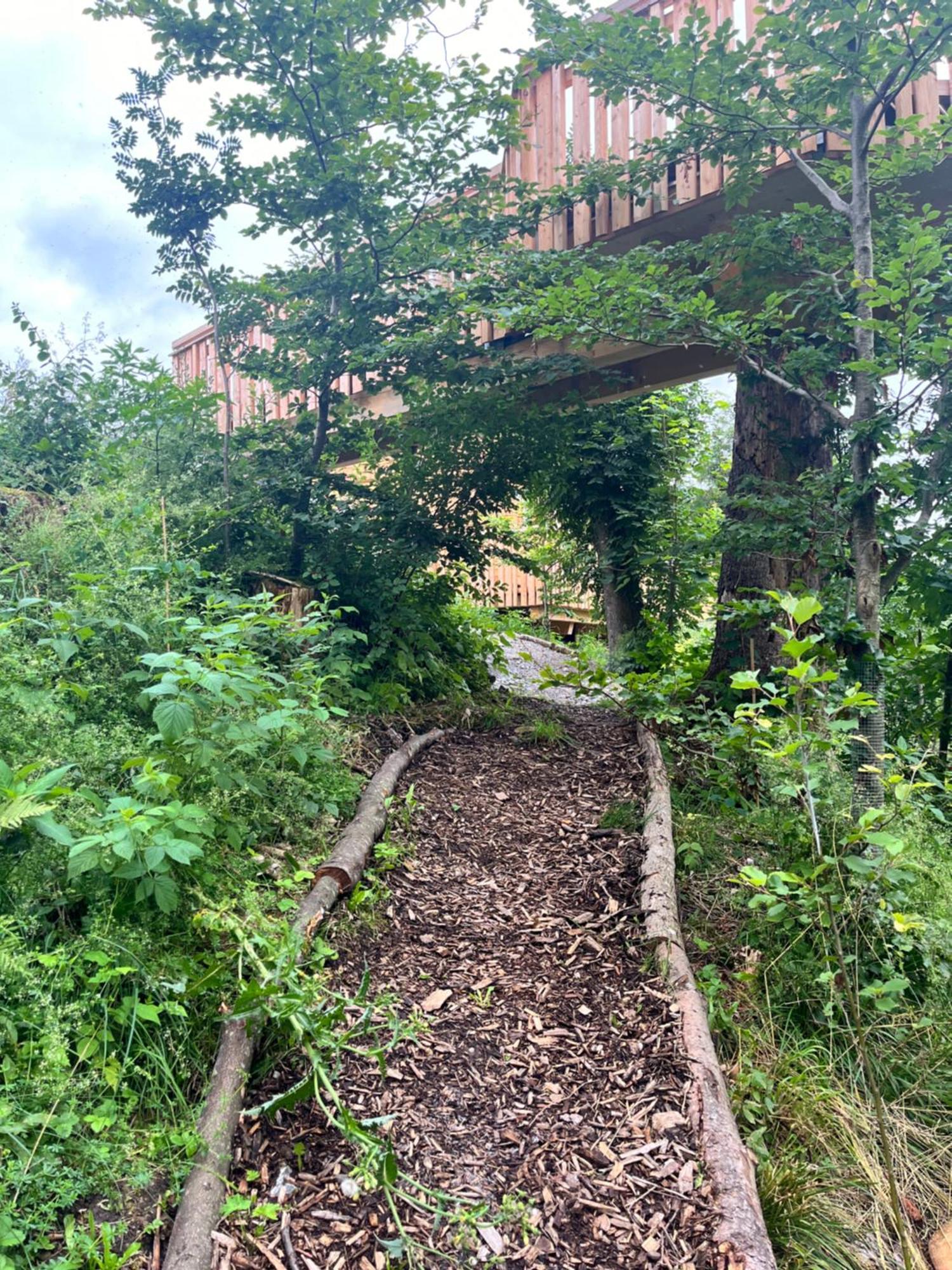 Hotel Wald Ist Zukunft Bernbeuren Zewnętrze zdjęcie