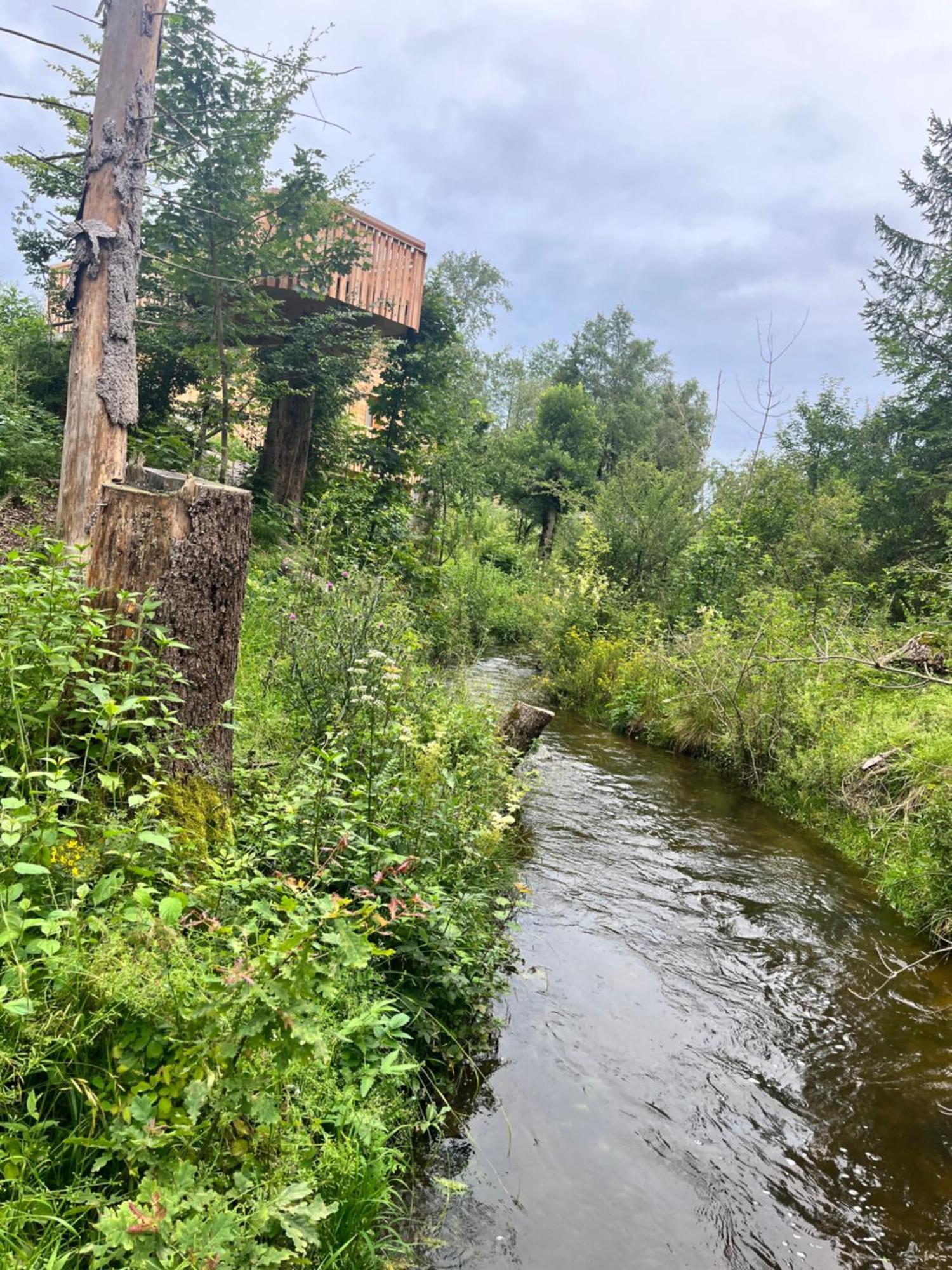 Hotel Wald Ist Zukunft Bernbeuren Zewnętrze zdjęcie