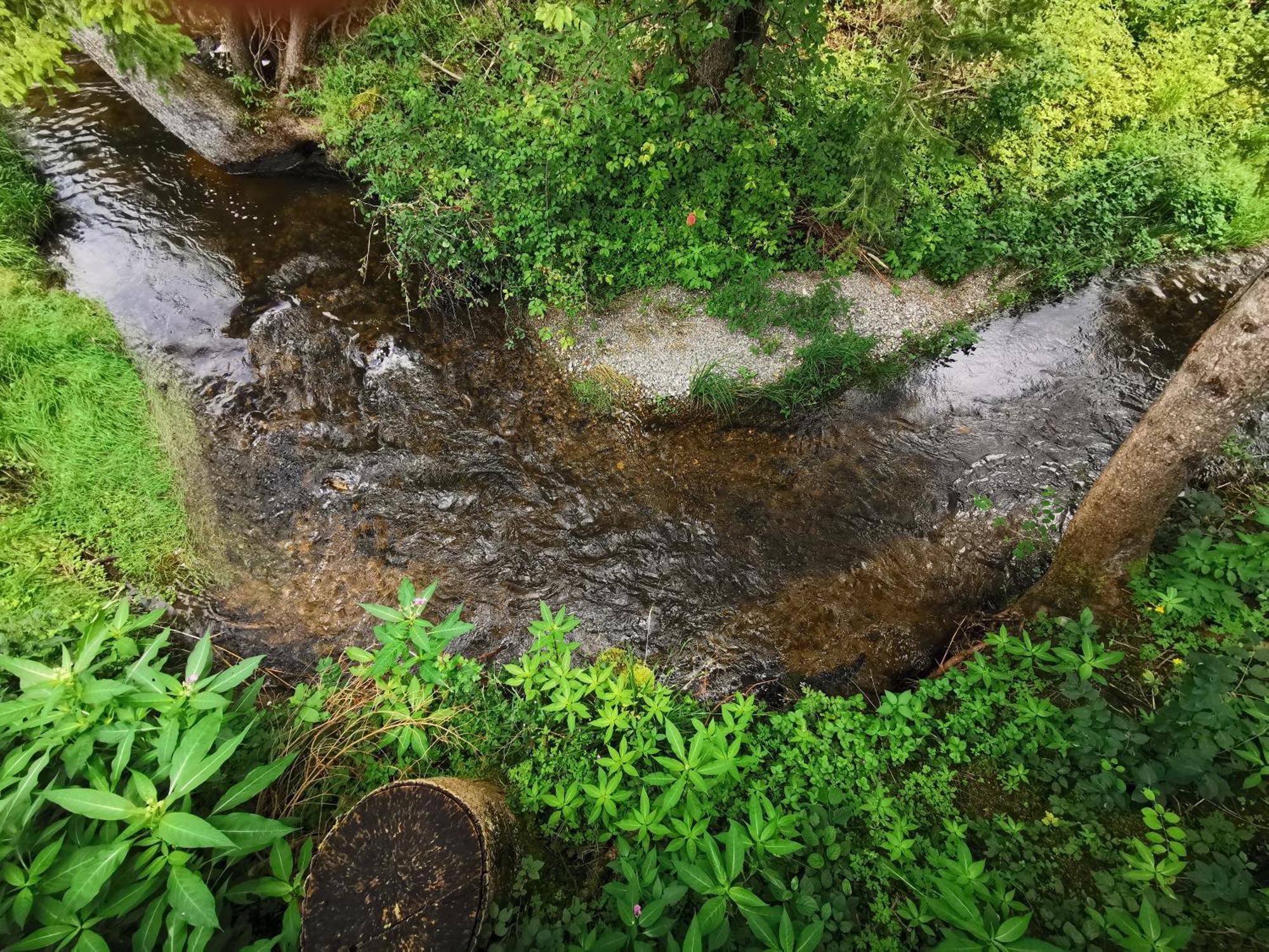 Hotel Wald Ist Zukunft Bernbeuren Zewnętrze zdjęcie