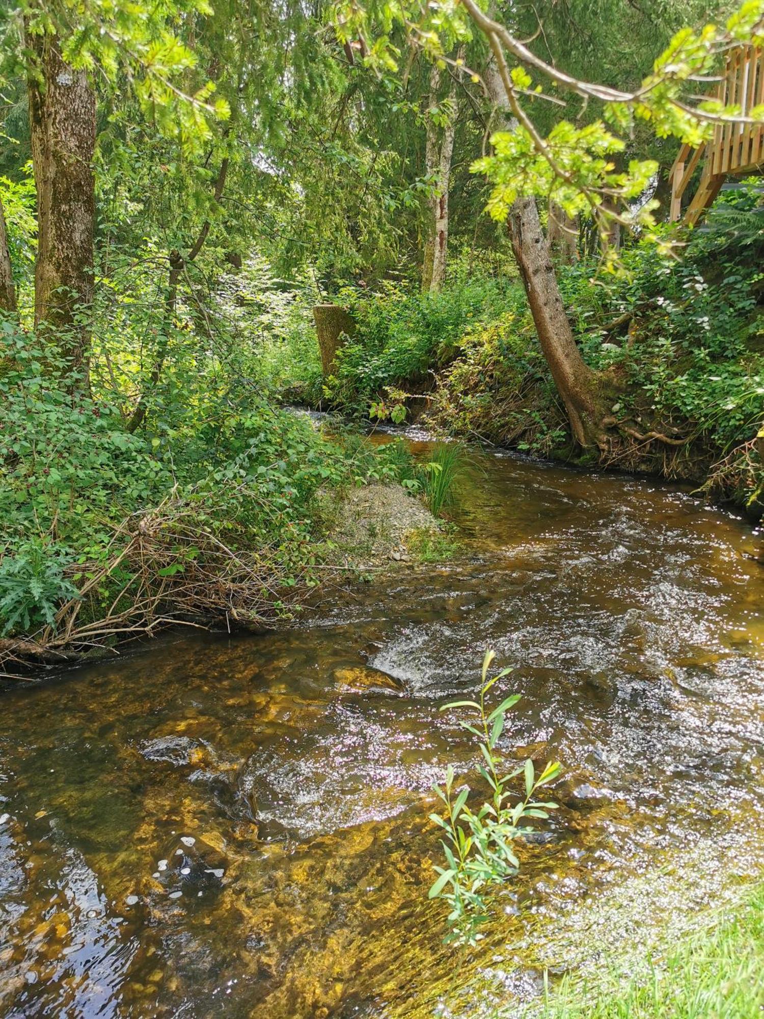 Hotel Wald Ist Zukunft Bernbeuren Zewnętrze zdjęcie