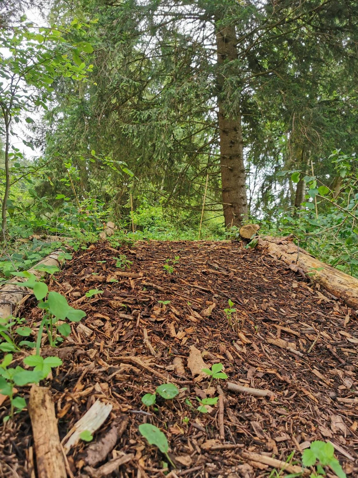Hotel Wald Ist Zukunft Bernbeuren Zewnętrze zdjęcie