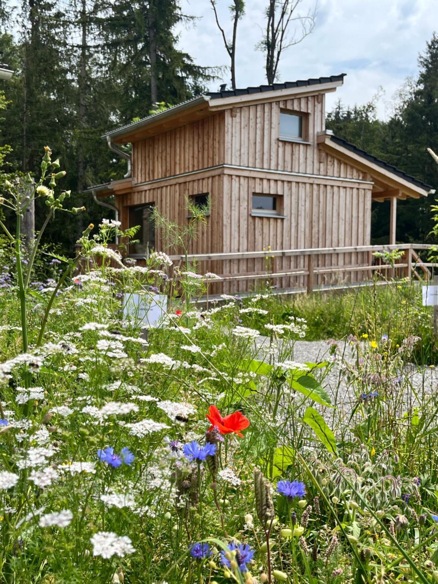 Hotel Wald Ist Zukunft Bernbeuren Zewnętrze zdjęcie
