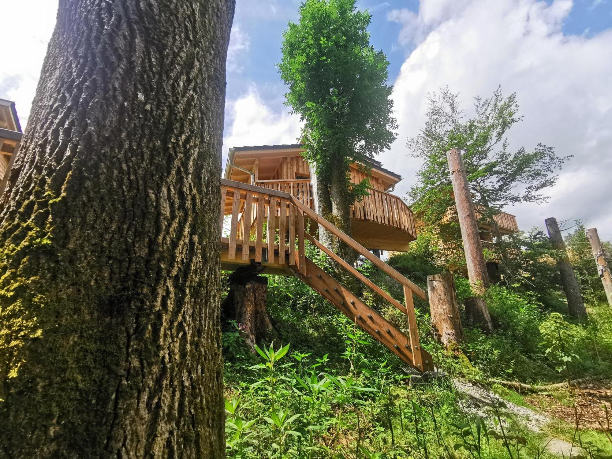 Hotel Wald Ist Zukunft Bernbeuren Zewnętrze zdjęcie