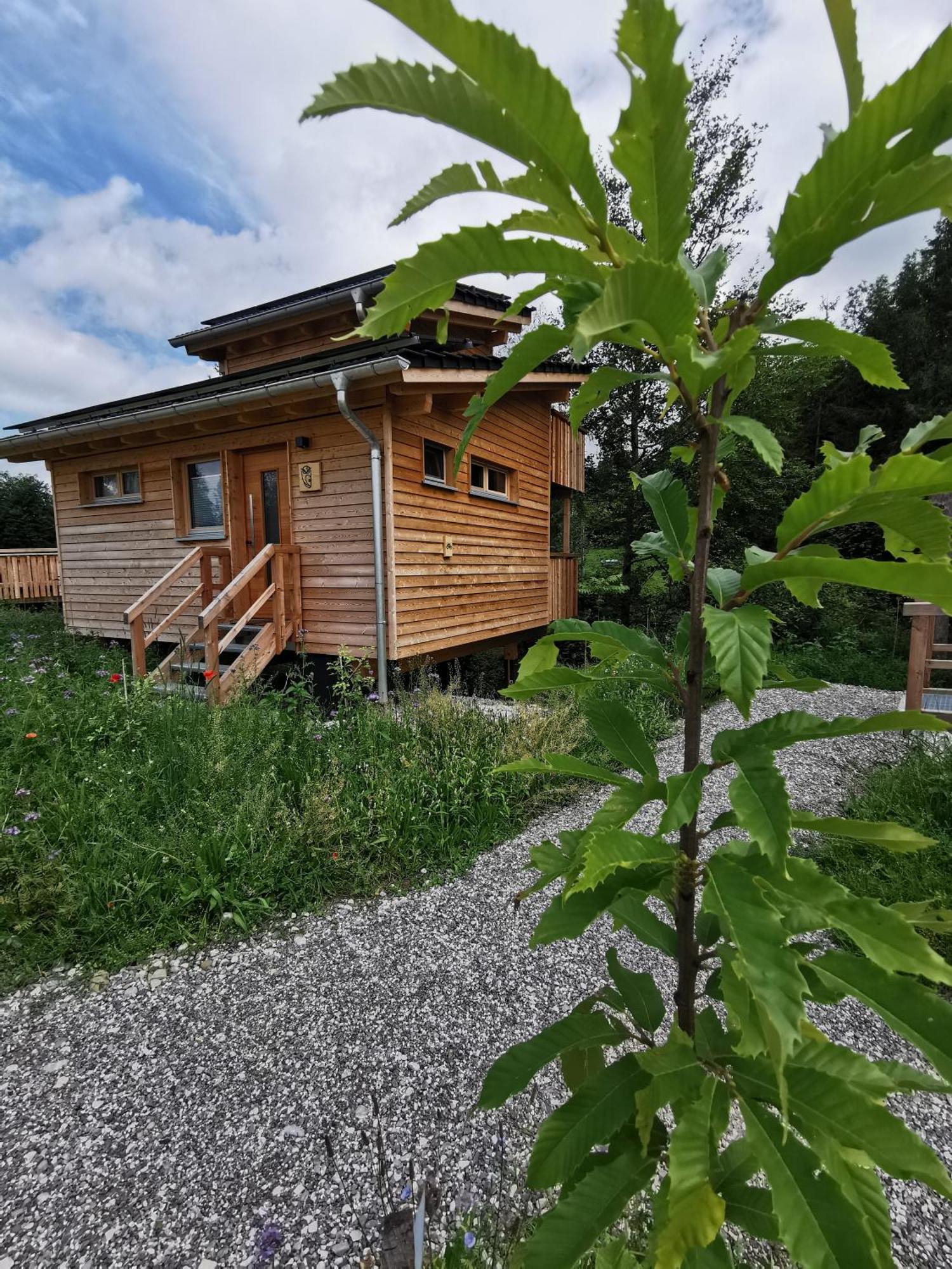Hotel Wald Ist Zukunft Bernbeuren Zewnętrze zdjęcie