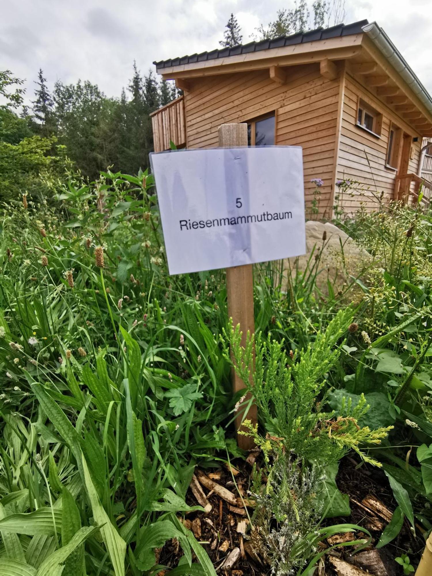 Hotel Wald Ist Zukunft Bernbeuren Zewnętrze zdjęcie