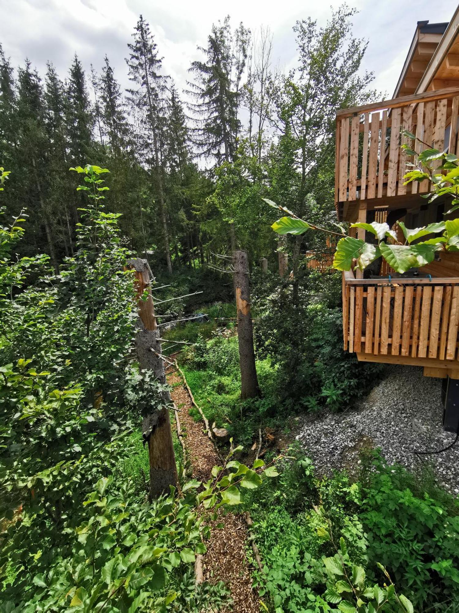 Hotel Wald Ist Zukunft Bernbeuren Zewnętrze zdjęcie