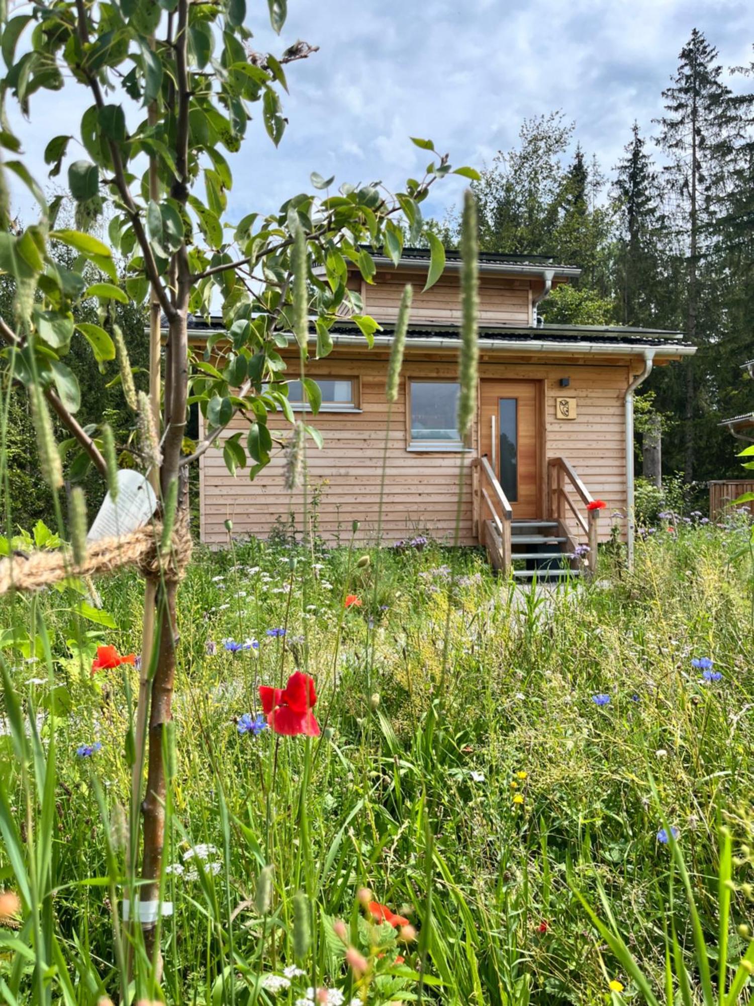 Hotel Wald Ist Zukunft Bernbeuren Zewnętrze zdjęcie