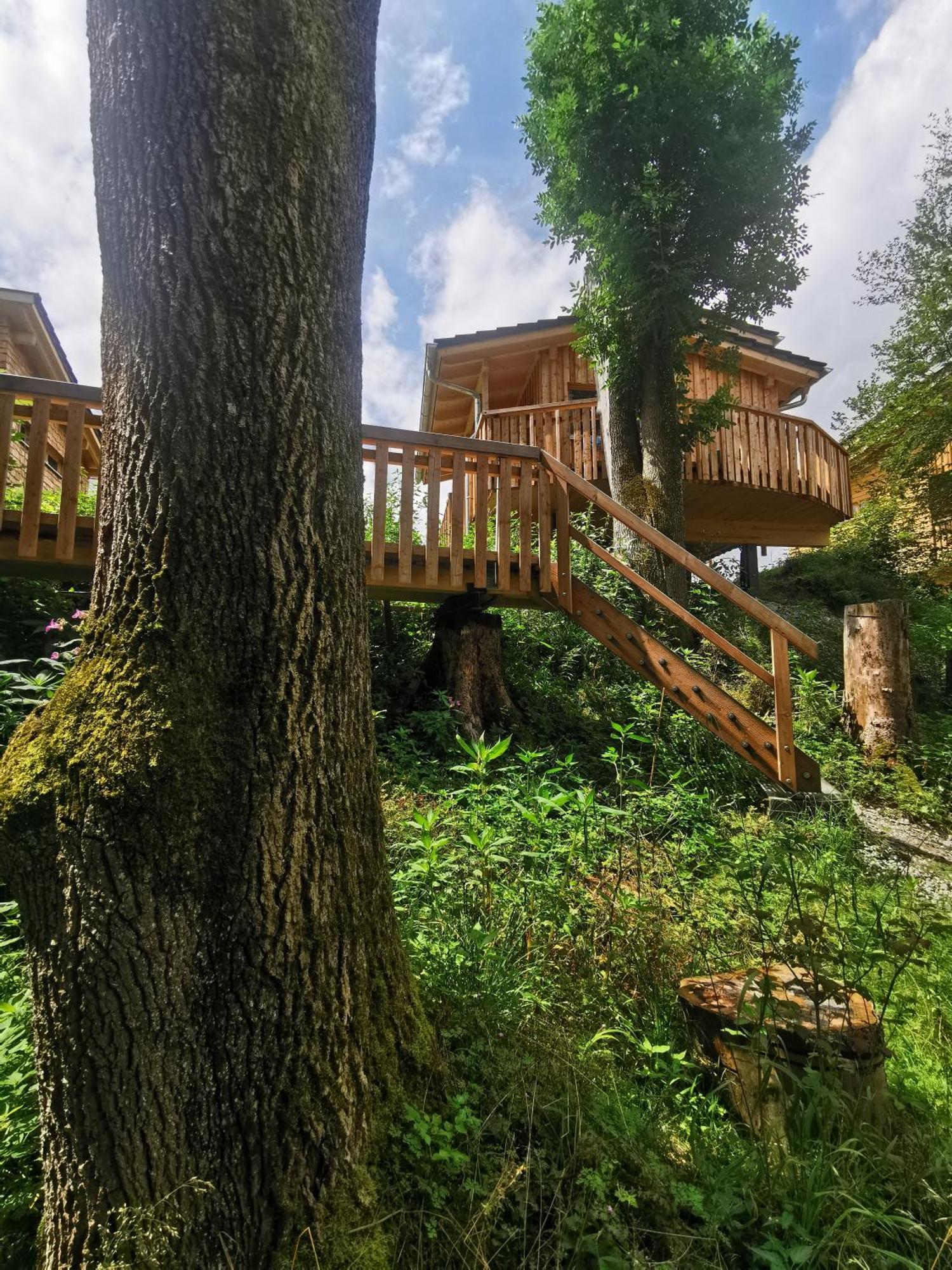 Hotel Wald Ist Zukunft Bernbeuren Zewnętrze zdjęcie