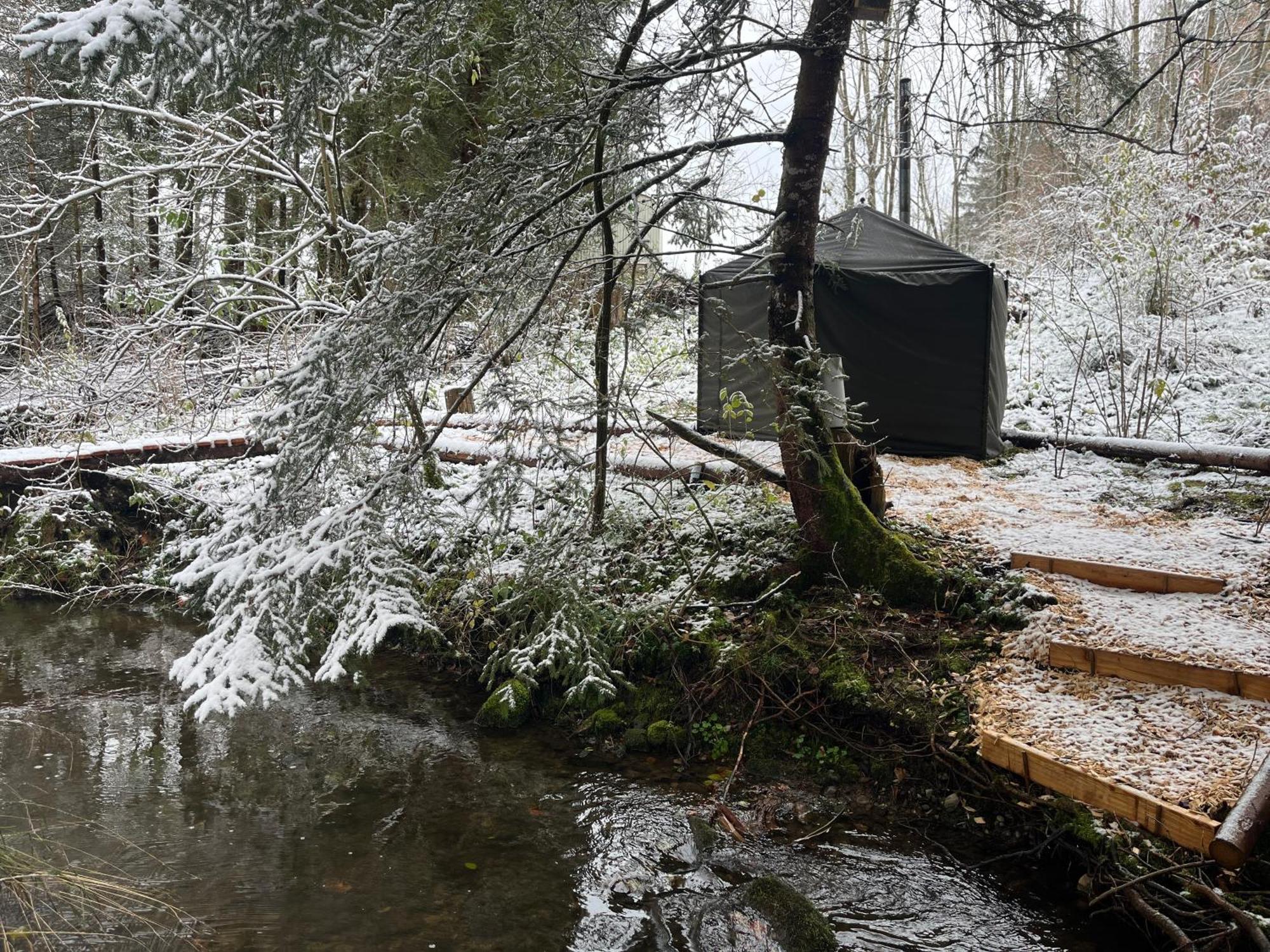 Hotel Wald Ist Zukunft Bernbeuren Zewnętrze zdjęcie