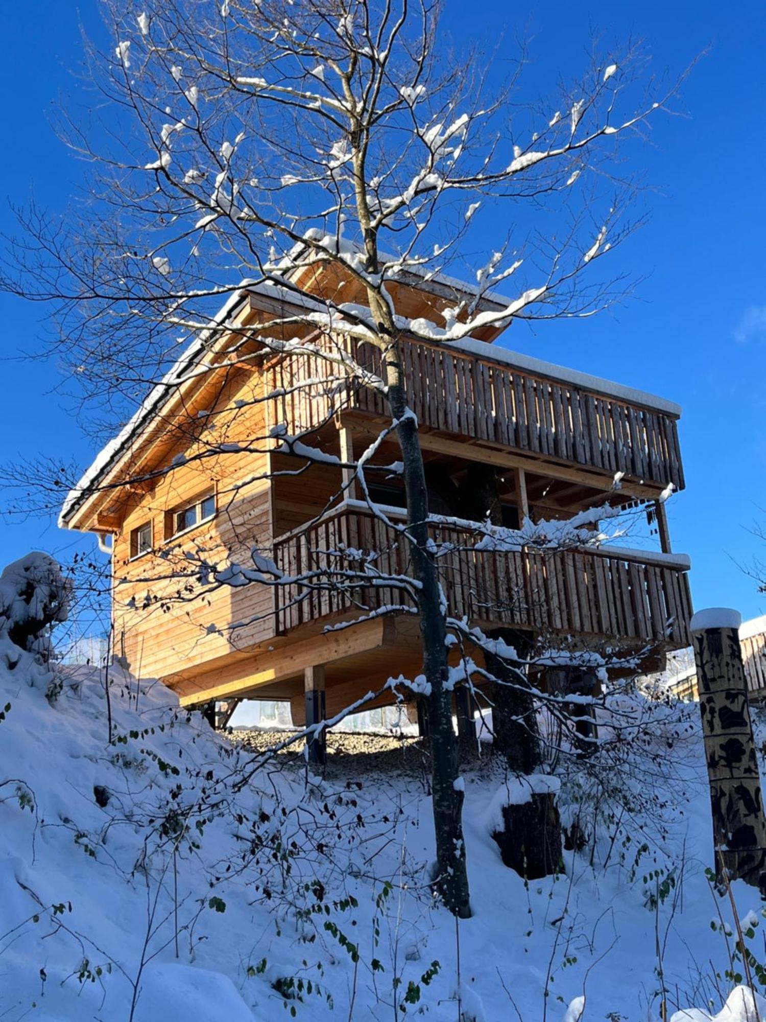 Hotel Wald Ist Zukunft Bernbeuren Zewnętrze zdjęcie